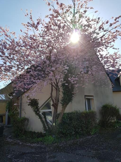 A La * Saint Pavace